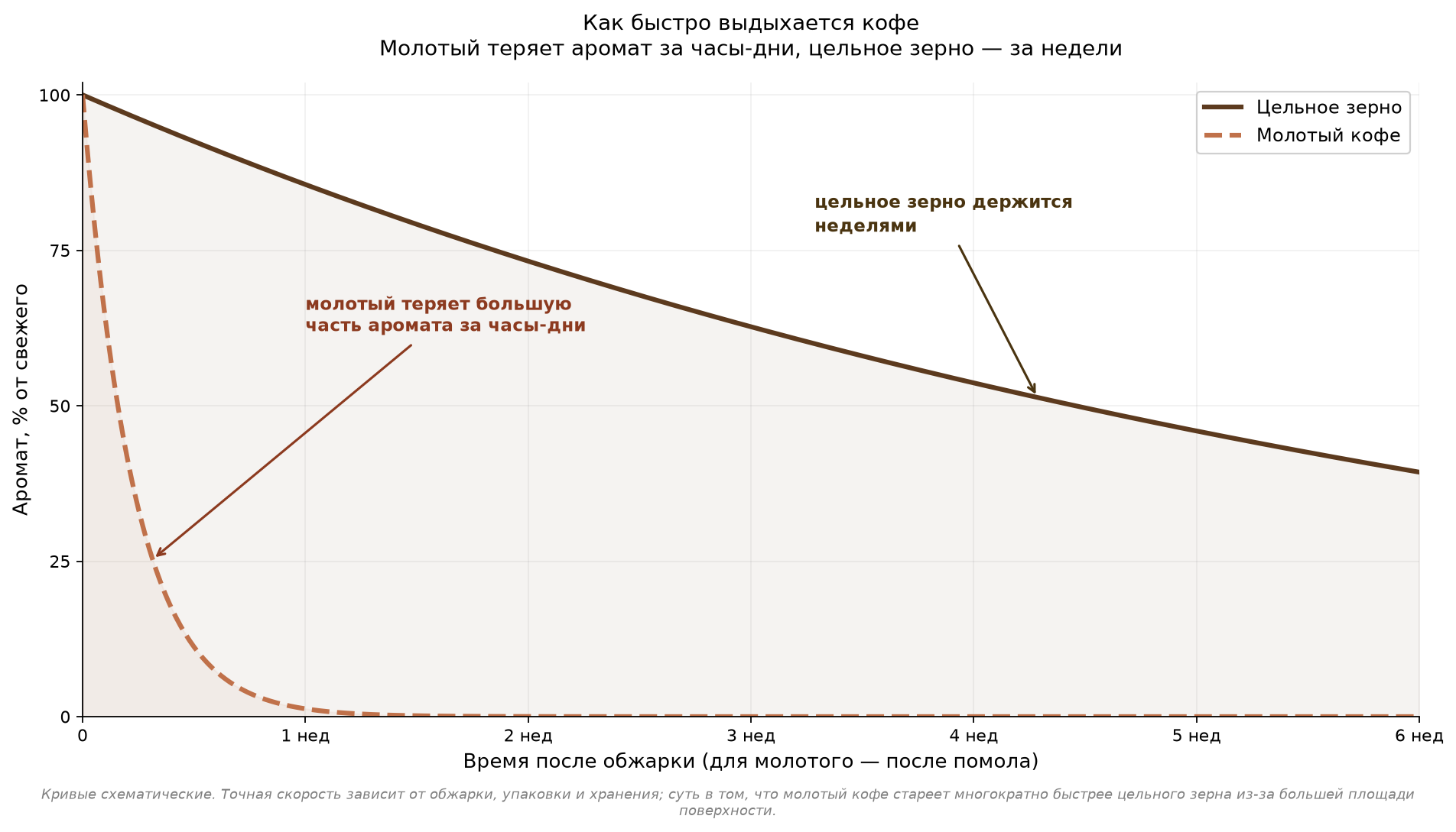 График, как убывает аромат кофе со временем. Цельное зерно (сплошная линия) теряет аромат медленно, за недели. Молотый кофе (пунктир) обваливается за первые часы и дни, потому что у него намного больше площадь поверхности. Кривые схематические.
